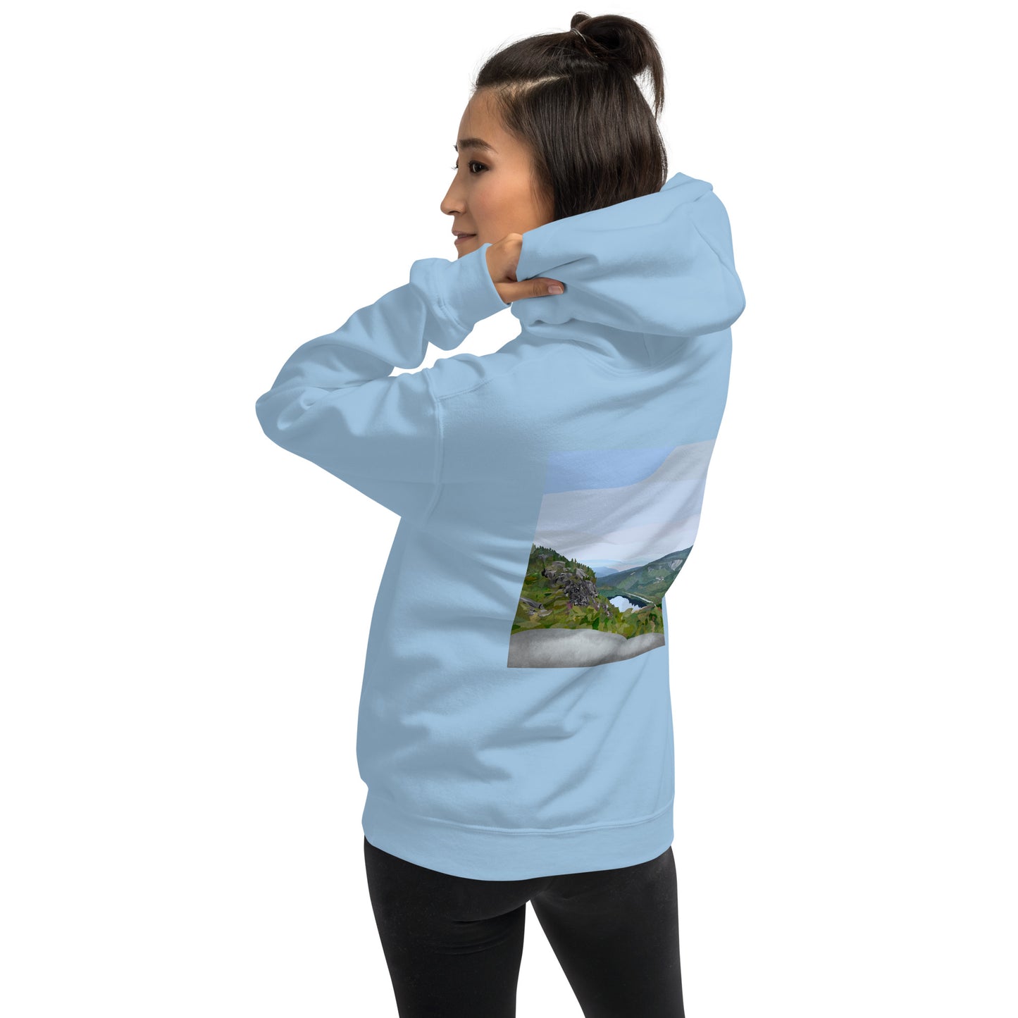 chapel pond hoodie